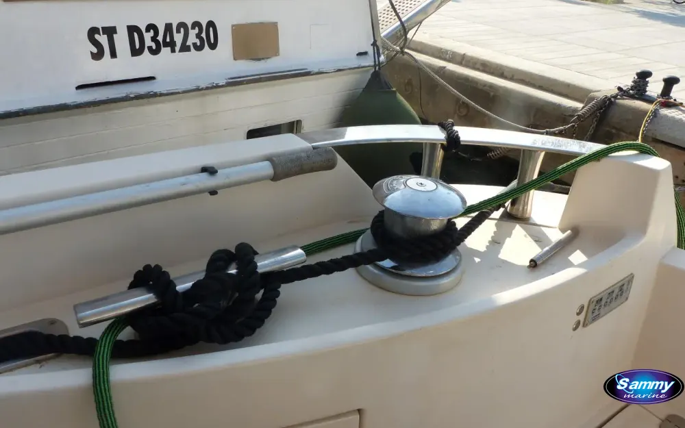 slider 29 Rodman  54 Muse