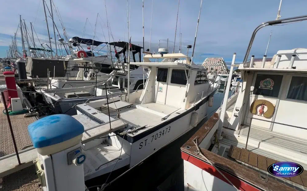 slider 1 Navimotors Teaser 31 Sport