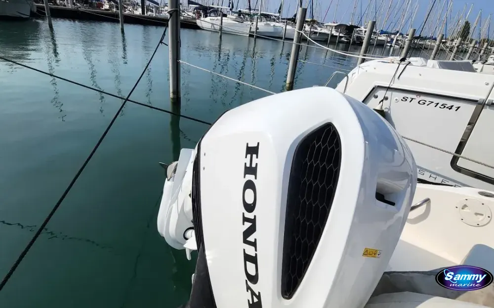 slider 10 Seaswirl Striper 2301 Walkaround