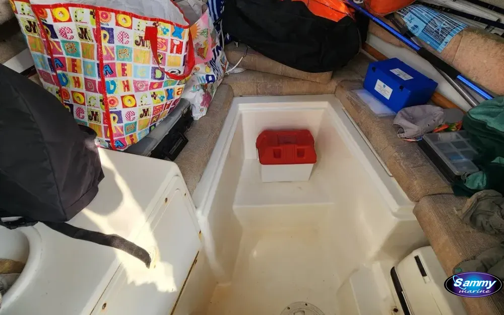 slider 2 Seaswirl Striper 2301 Walkaround