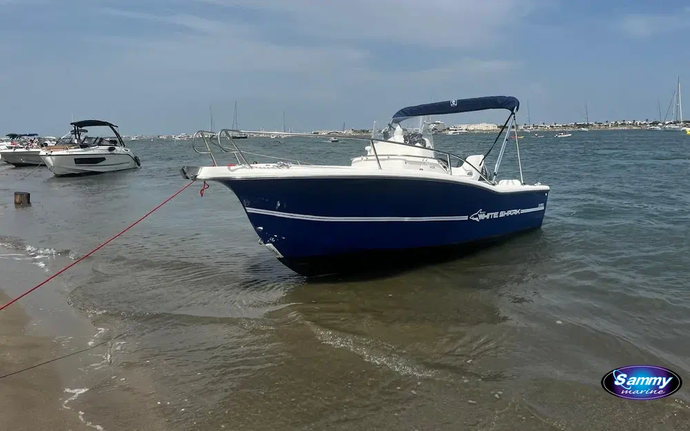 slider 0 Kelt White Shark 205