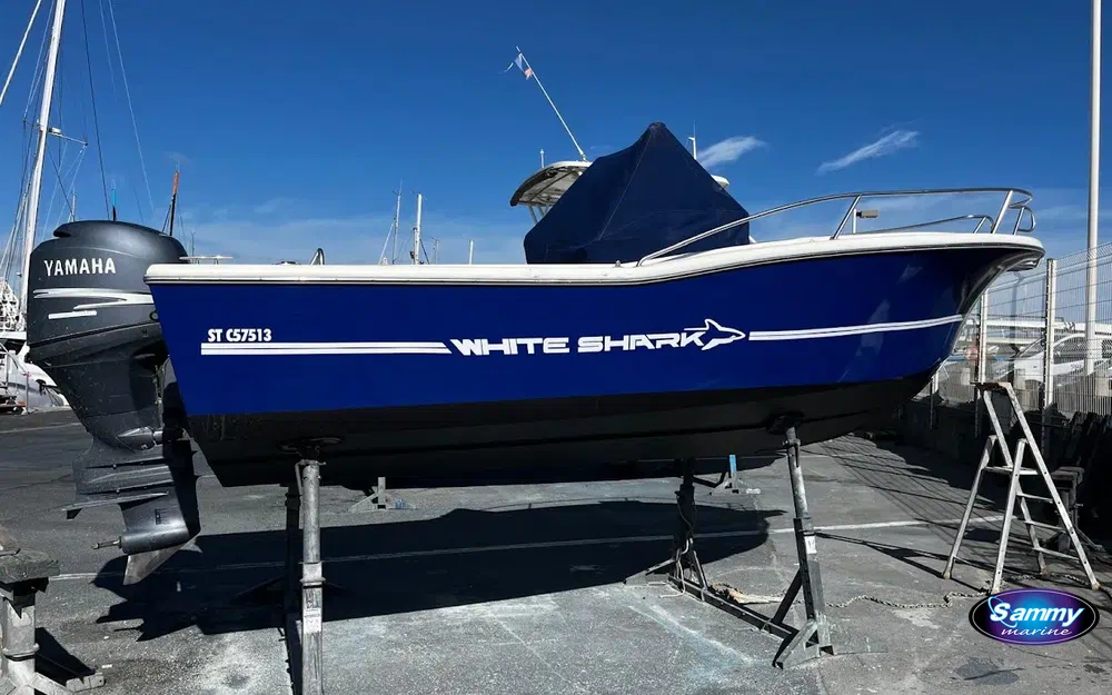 slider 1 Kelt White Shark 205