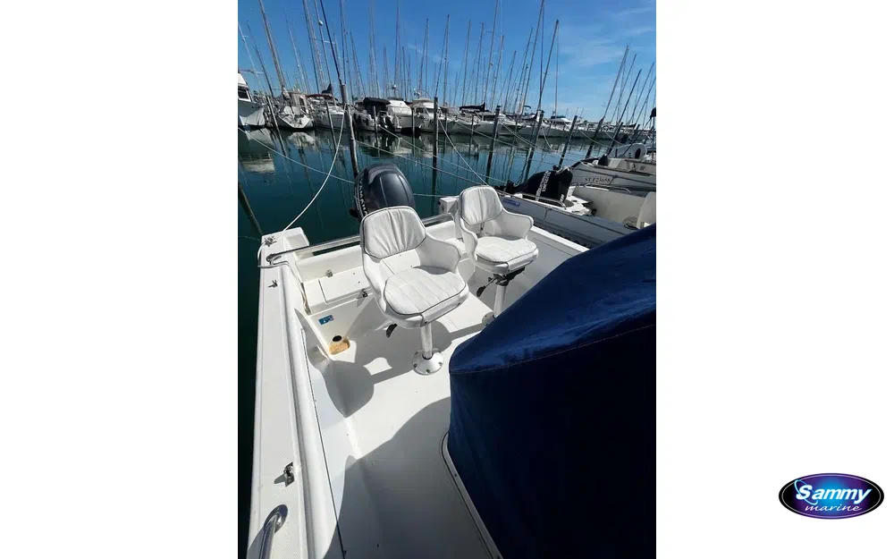 slider 5 Kelt White Shark 205