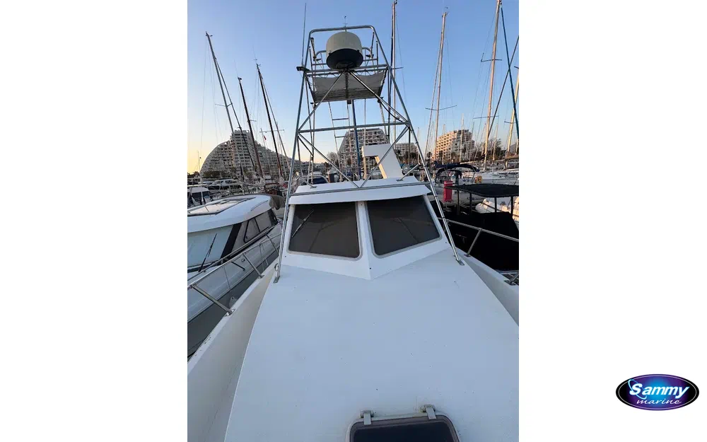 slider 16 Navimotors Teaser 31 Sport