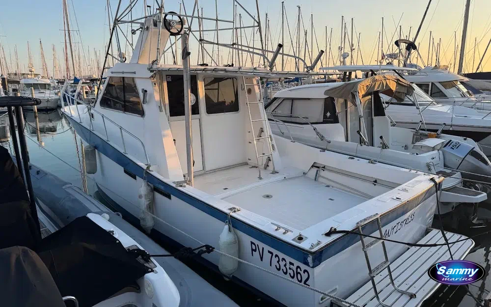 slider 0 Navimotors Teaser 31 Sport