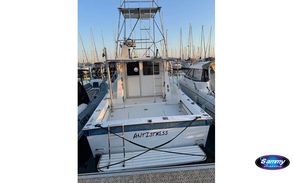 slider 2 Navimotors Teaser 31 Sport