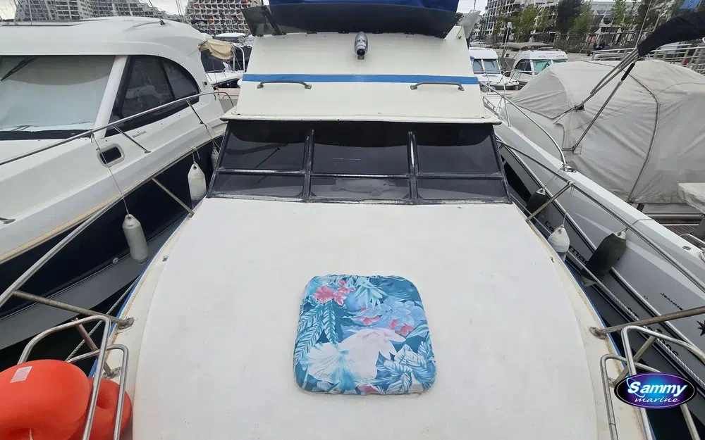 slider 19 Seabird Condor 29