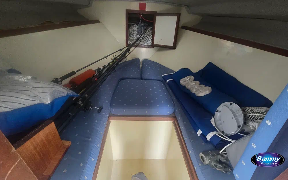 slider 9 Seabird Condor 29