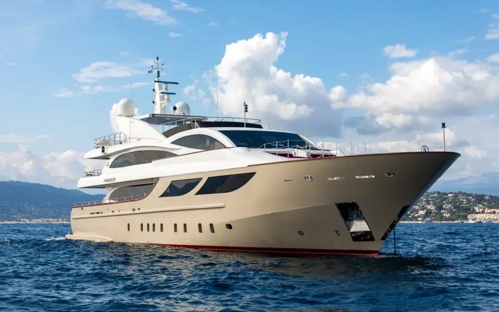 Astondoa  150