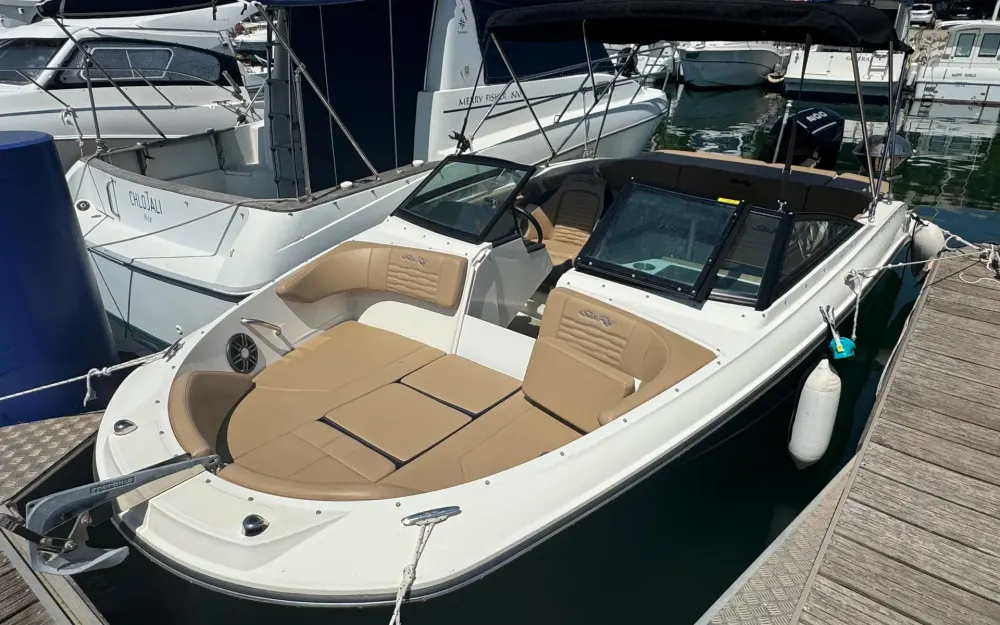 Sea Ray  210