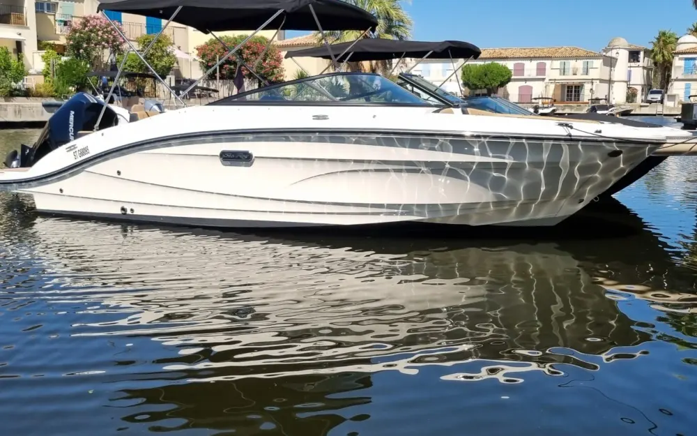 Sea Ray  210 SPX OB