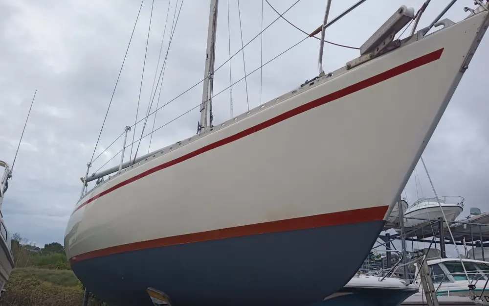 Nicholson  33