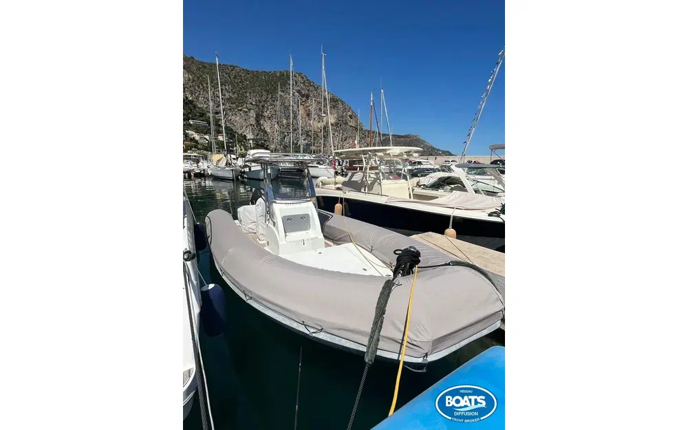 Sea Water Phantom 260