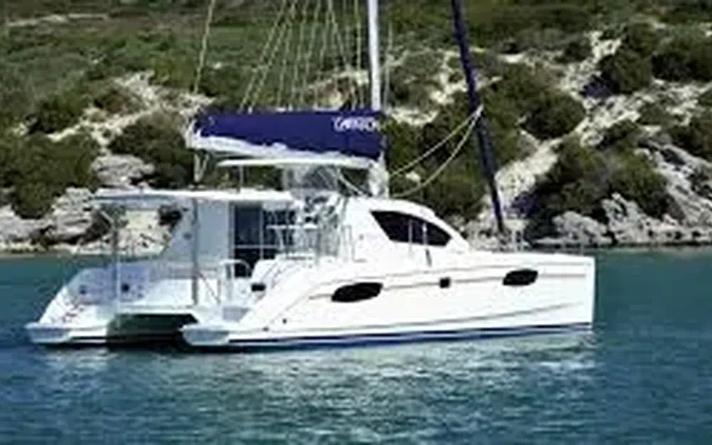 Robertson And Caine Leopard 39