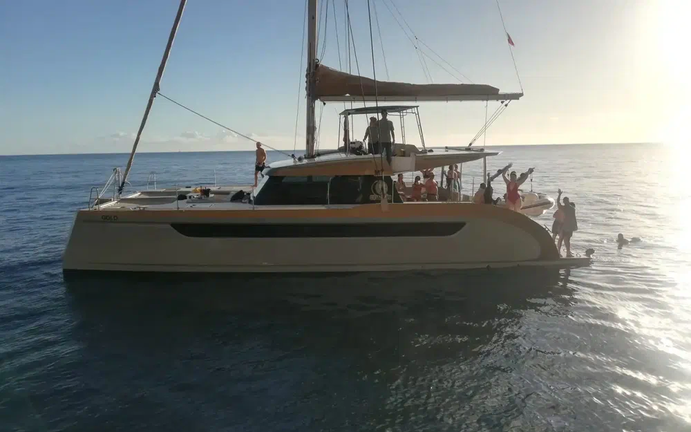 Catamaran Luna 49 gold