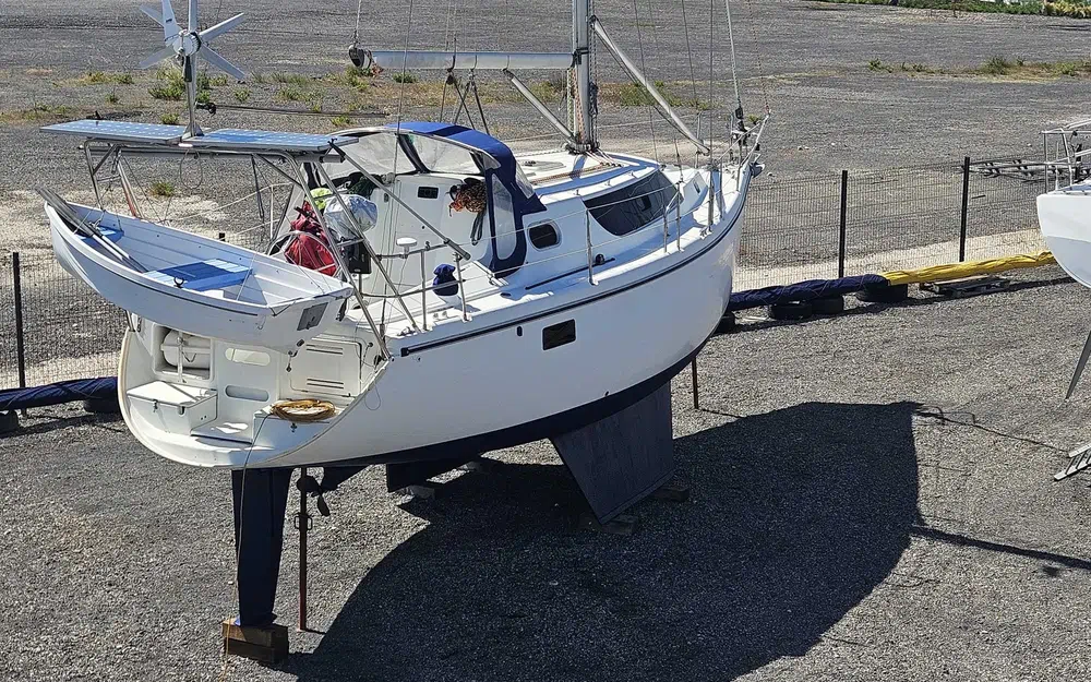 Wrighton Biloup 36