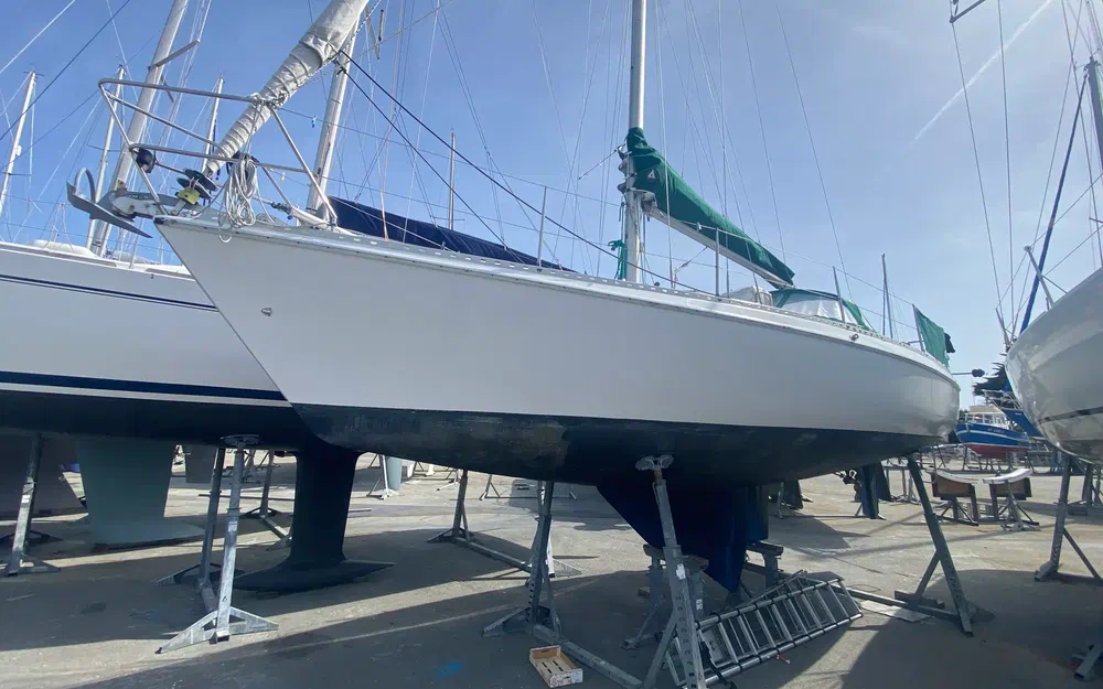 Gib Sea  31 DL