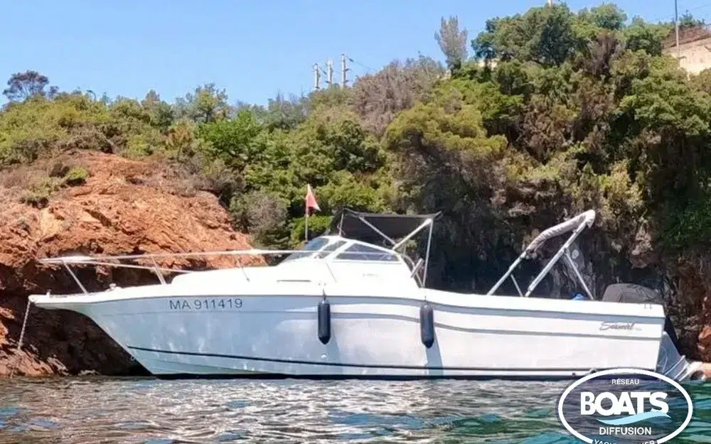 Seaswirl Striper 2600