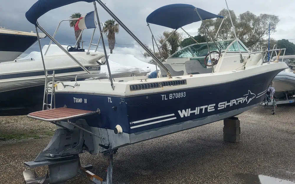 White Shark  237