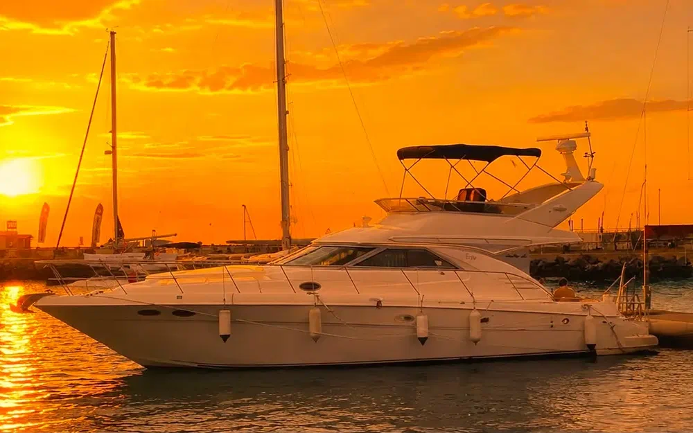 Sea Ray 42 fly
