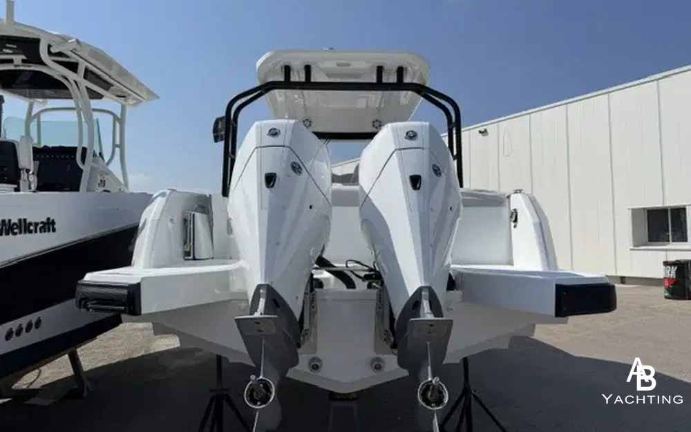 slider 3 Wellcraft 28 T-Top