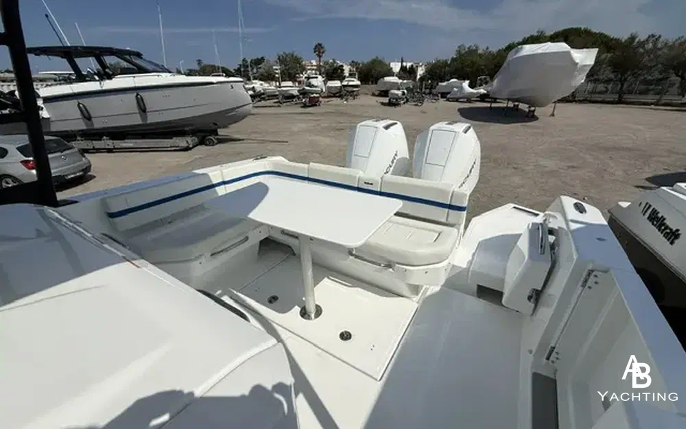 slider 5 Wellcraft 28 T-Top