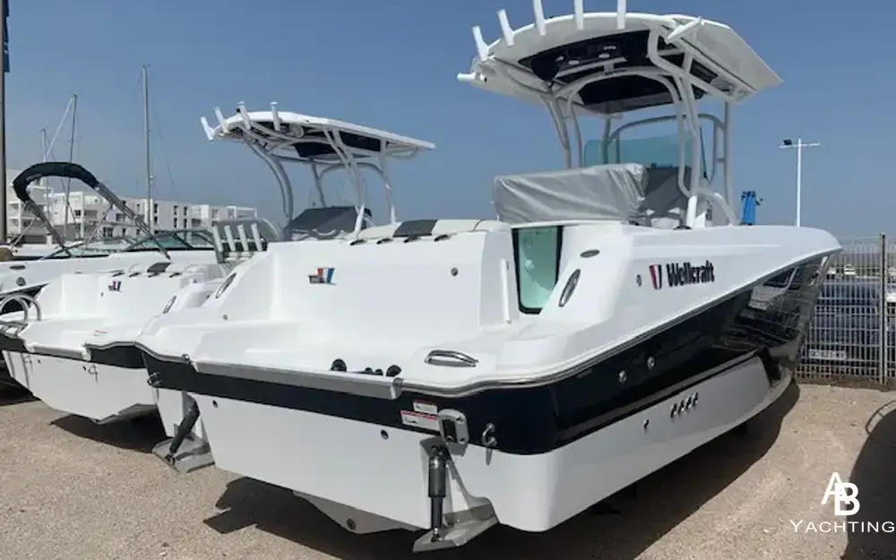 slider 4 Wellcraft Fisherman 262