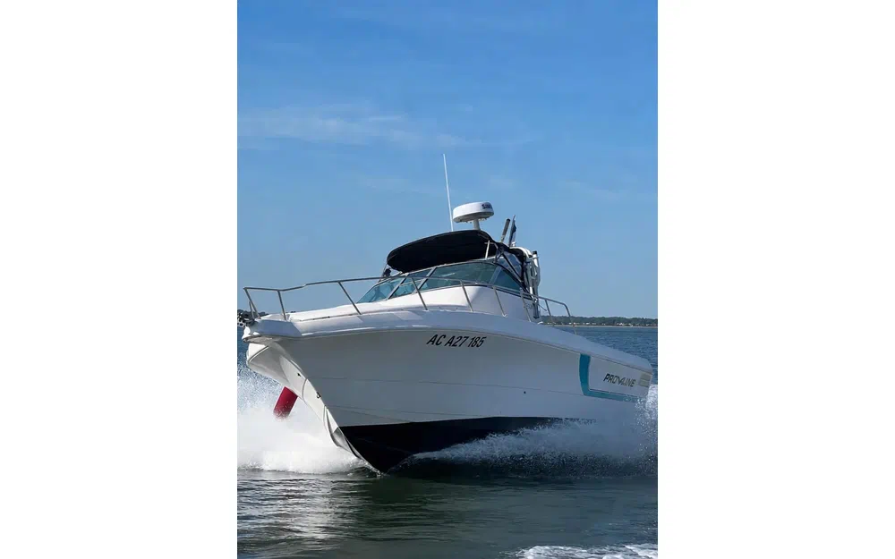 Proline 2950
