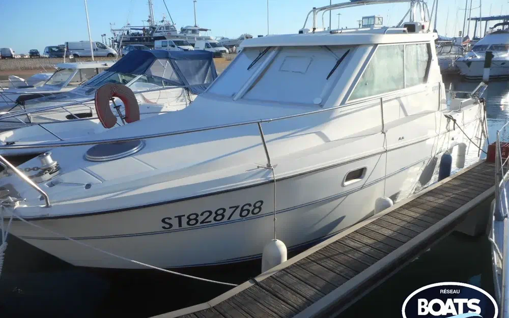 Gib Sea Jamaica 28