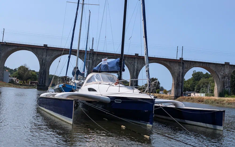 Dragonfly  28