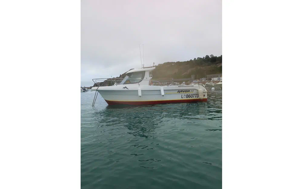 Arvor  20