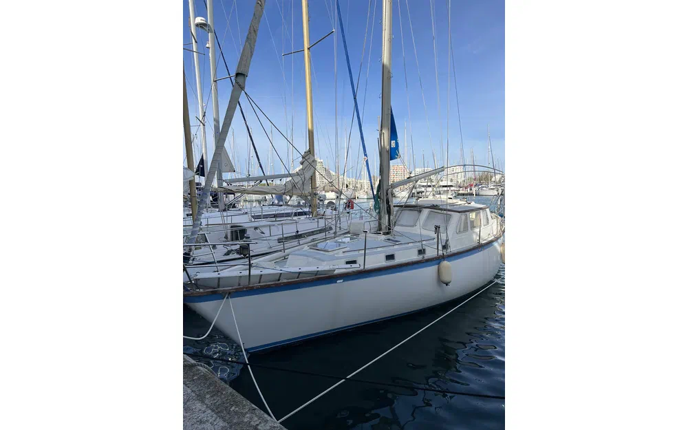 Wauquiez Antigua 37