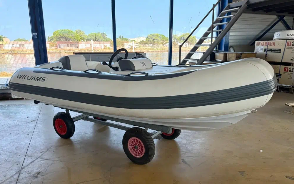 Williams Performance Tenders Minijet 280