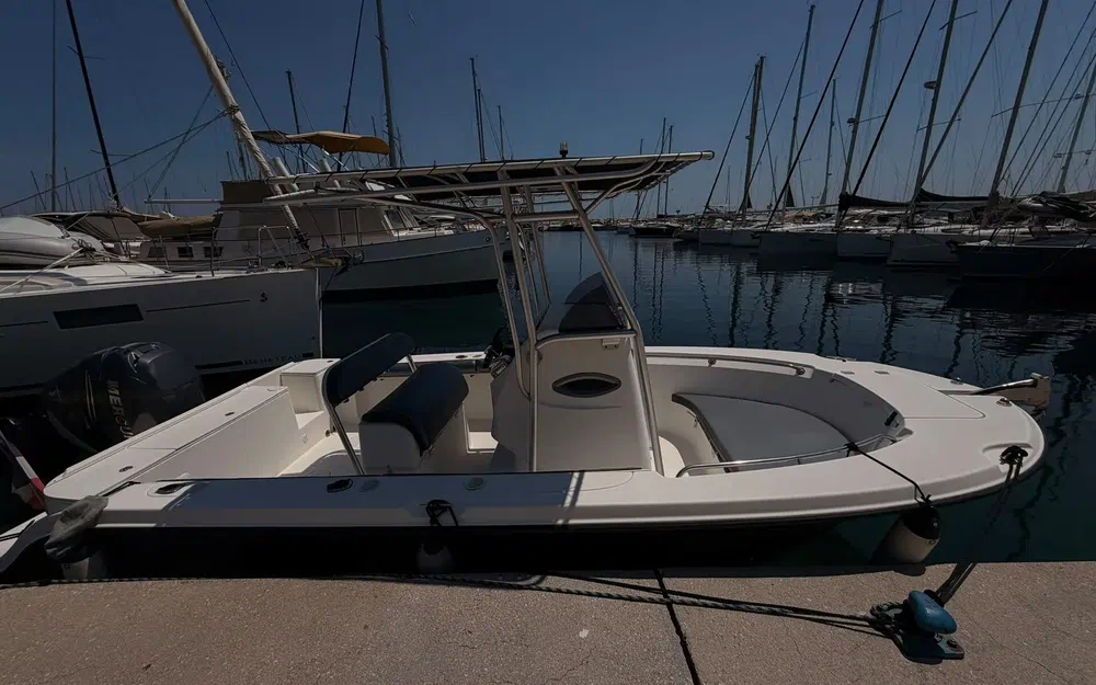 Bayliner Trophy