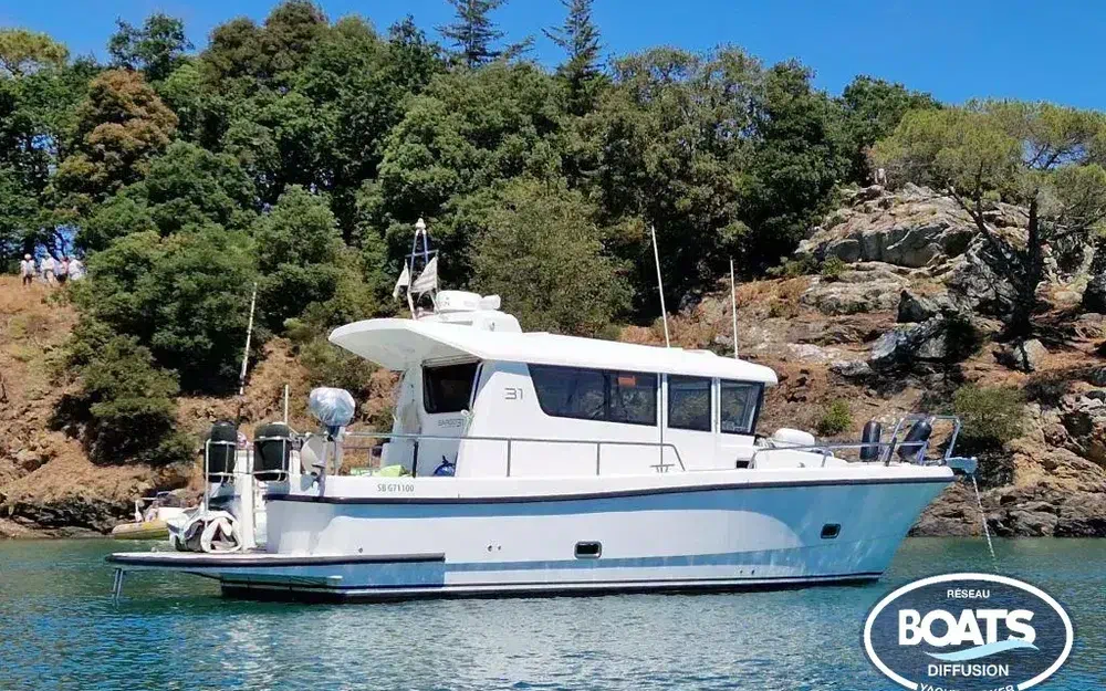 Sargo  31