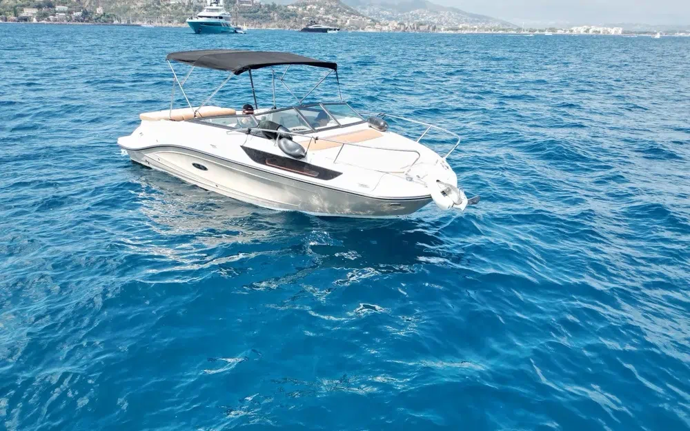 Sea Ray  230 SPX