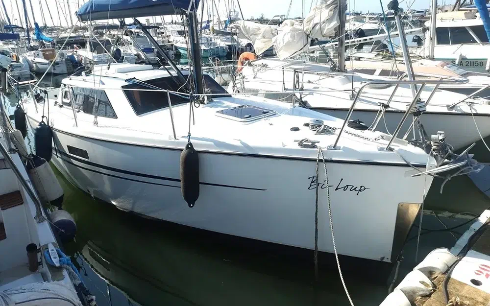Wrighton Biloup 78