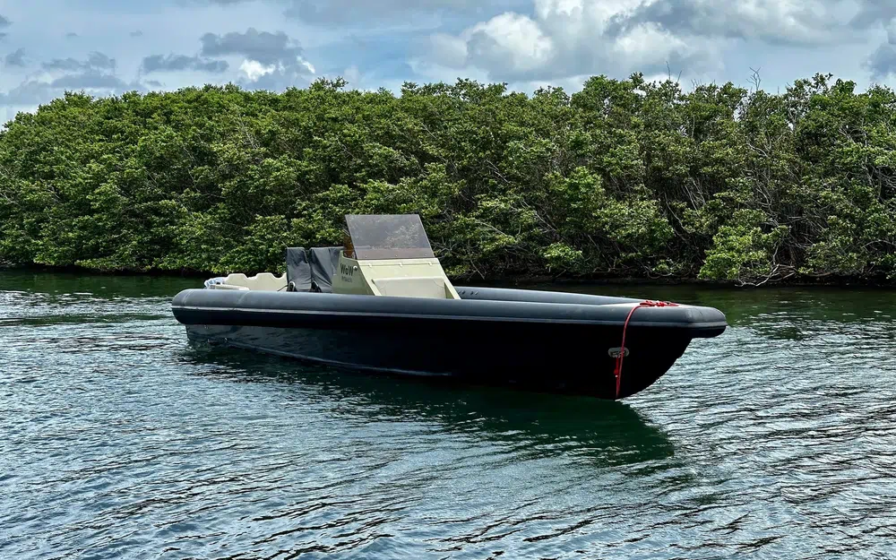 Rib SB39