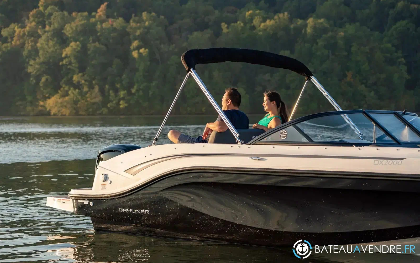 slider 10 Bayliner DX 2000