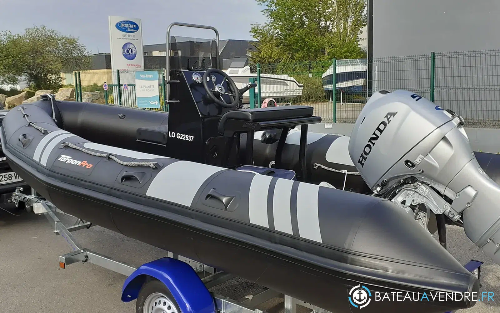 slider 6 Tarpon AD 50