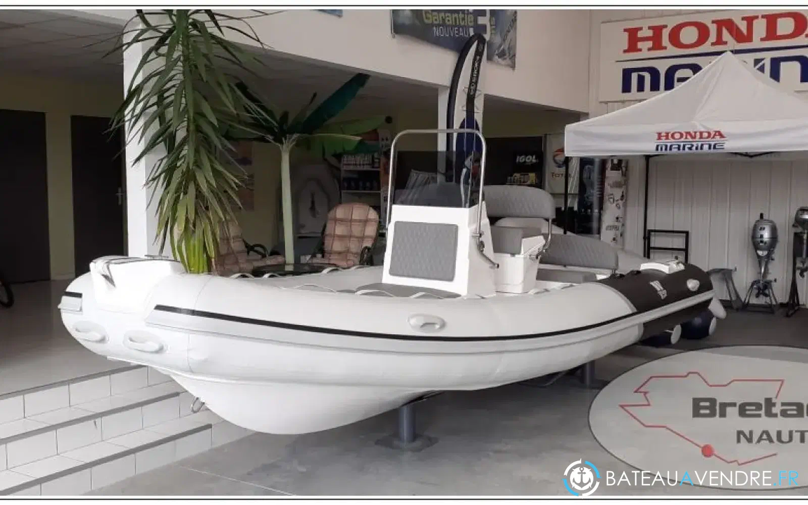 slider 1 Tiger Marine Pro Line 550