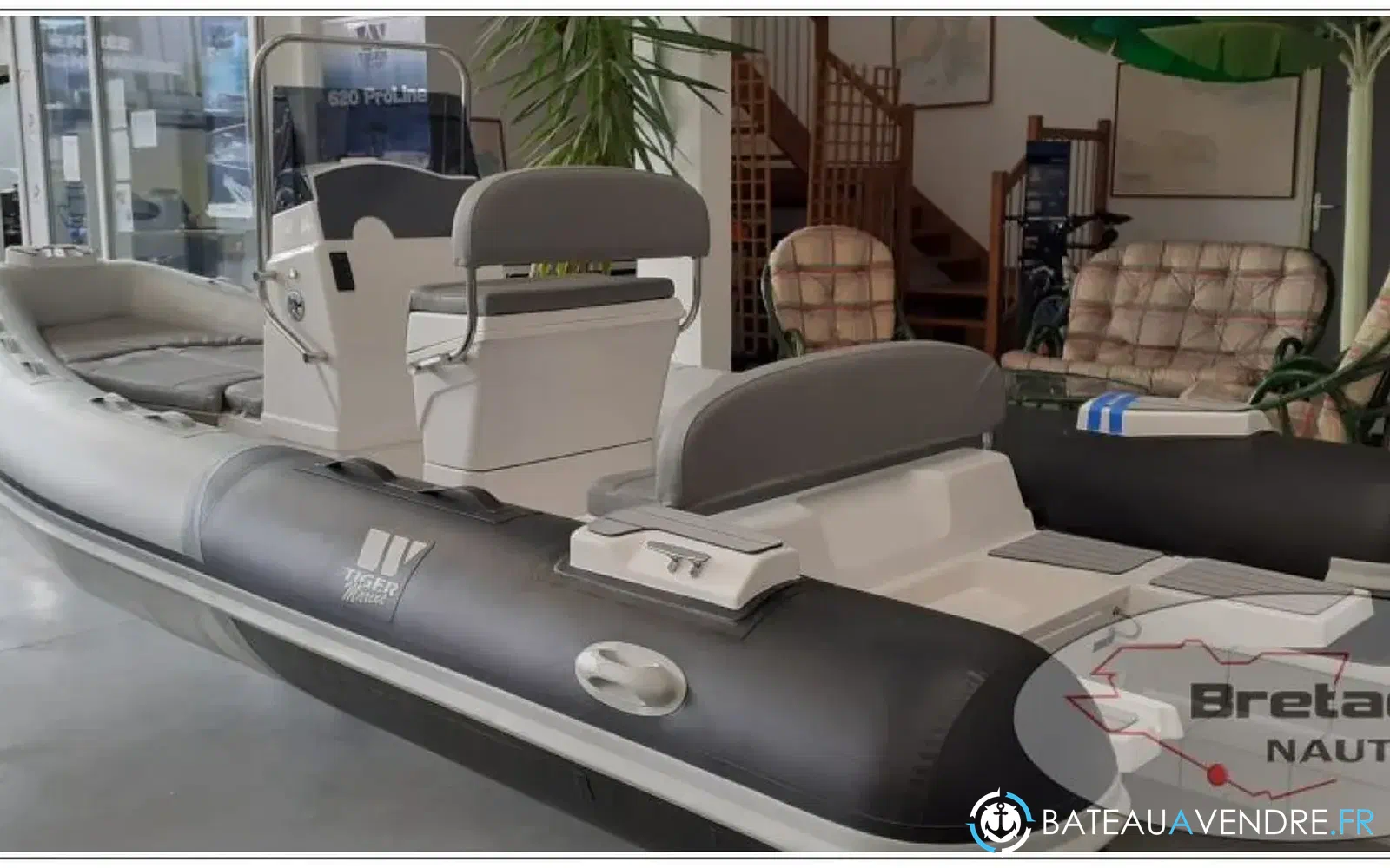 slider 5 Tiger Marine Pro Line 550