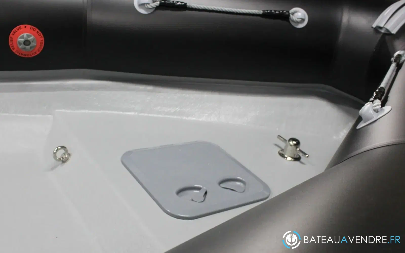 slider 5 Narwhal HD 480
