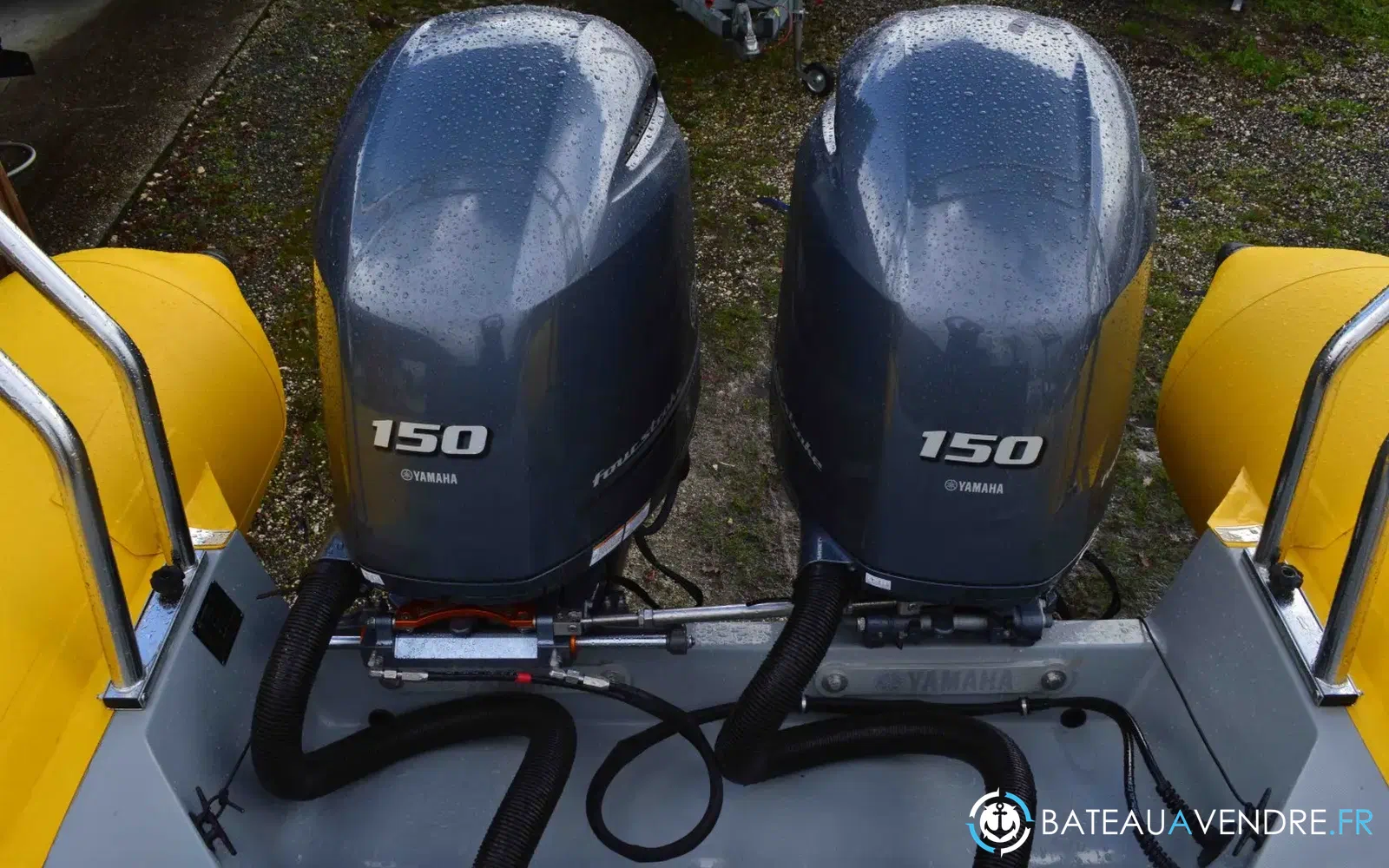 slider 7 Narwhal SP 900