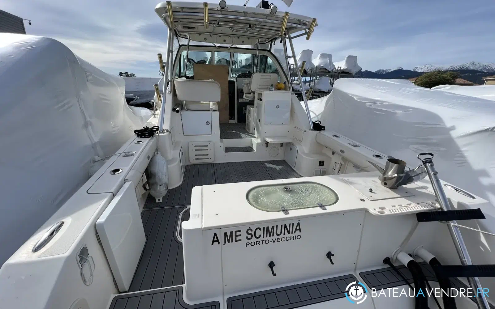 slider 8 Pursuit OS 335 Offshore