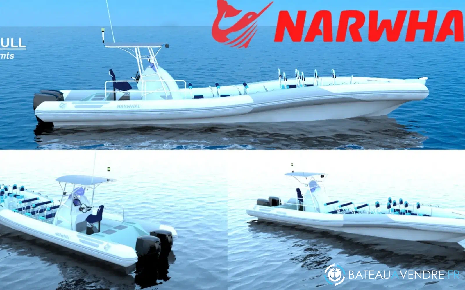 slider 1 Narwhal Orca 12