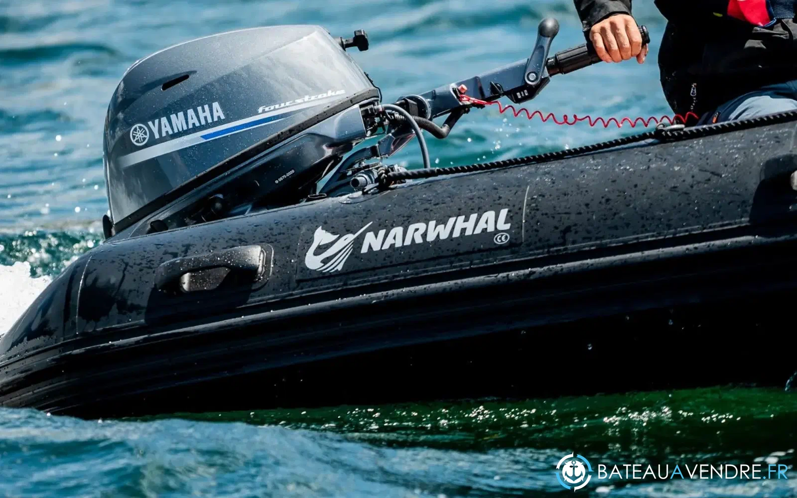 slider 3 Narwhal GH 470
