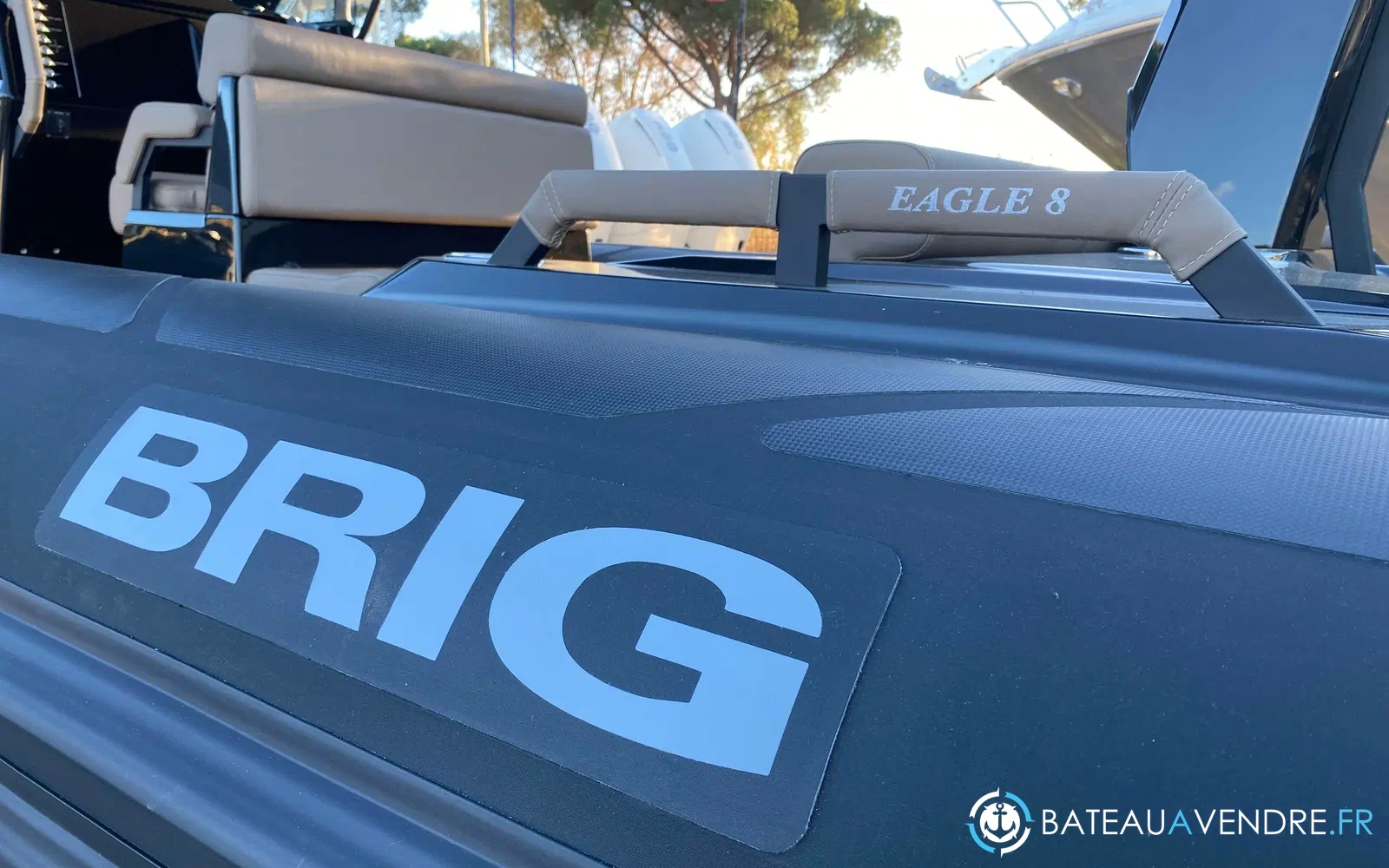 slider 10 Brig Eagle 8