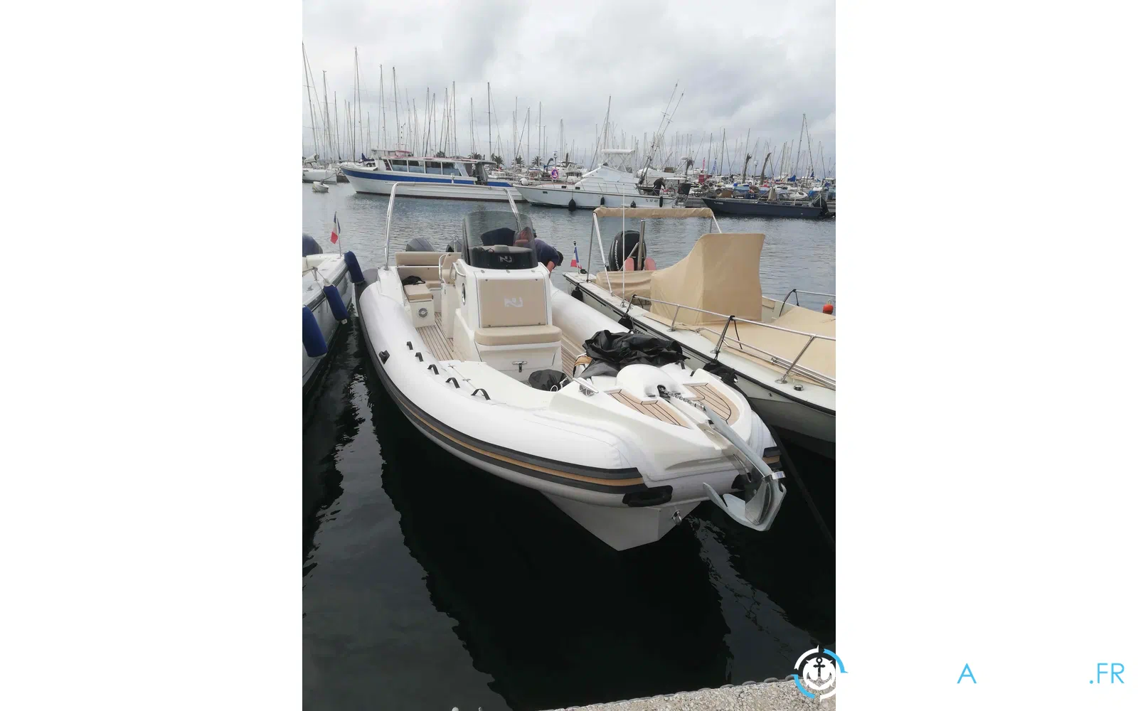 slider 1 Nuova Jolly Prince 30