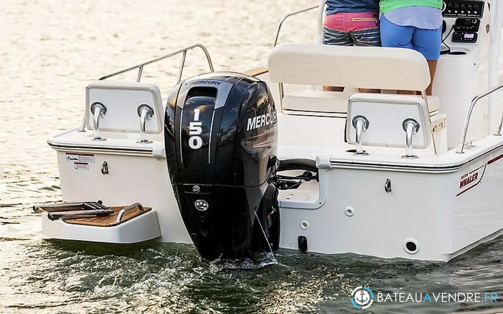 slider 5 Boston Whaler 190 Montauk